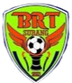BRT梳邦logo